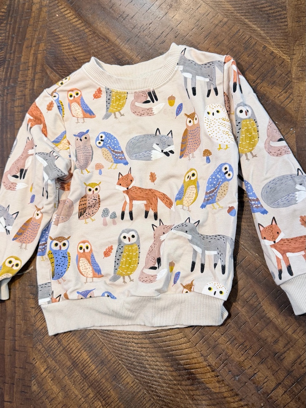 Little Sleepies Forest Friends crewneck sweatshirt